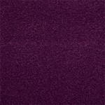 Plush Velvet Plum