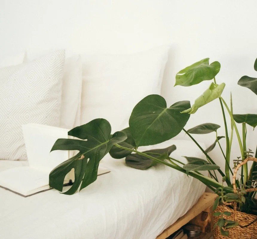 Find the best eco-friendly mattress for you